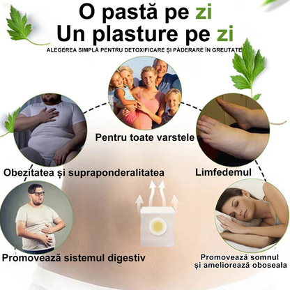 🐝🐝Plasture de slăbire cu drenaj limfatic ZVLZVL™ Venin de albine 🔥 Reducere de 70% pentru o perioadă limitată 🔥 (Aplicabil pentru toate vârstele)